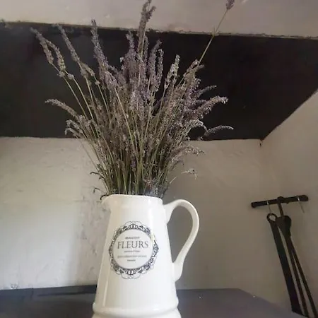 شقة The Walnut Tree. Saint-Aulaye-Puymangou