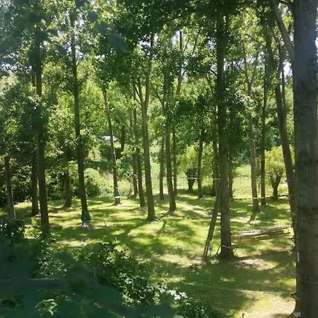 The Walnut Tree. شقة