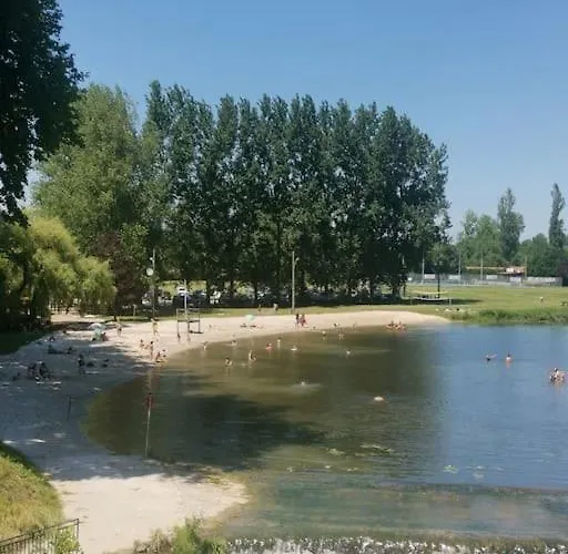 The Walnut Tree. * Saint-Aulaye-Puymangou