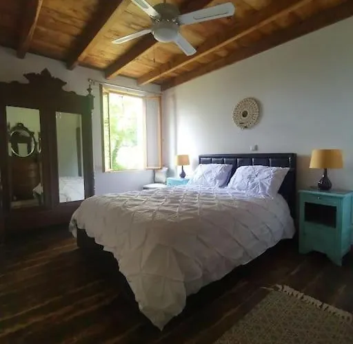 Apartamento The Walnut Tree.