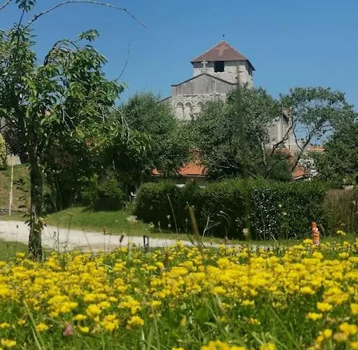 The Walnut Tree. Апартаменты