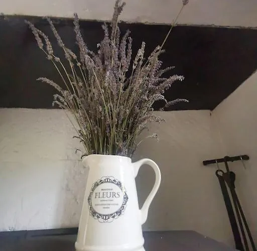 Apartamento The Walnut Tree. Saint-Aulaye-Puymangou