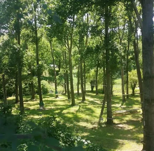 The Walnut Tree. Апартаменты